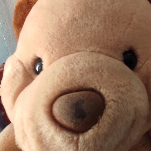 Plush teddy bear like new with retro style, 38cm height