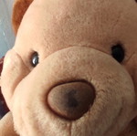 Plush teddy bear like new with retro style, 38cm height