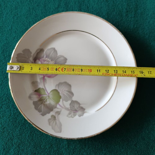 Vintage Rosenthal dessert set like new, 6 small and 1 large plate