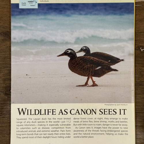 National Geographic Magazine May 2018 Picasso edition like new