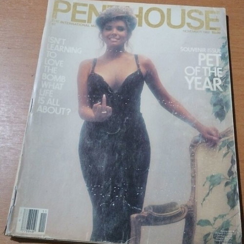 Penthouse magazine November 1982 used edition