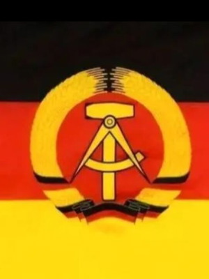 East Germany flag polyester 90 x 150 cm