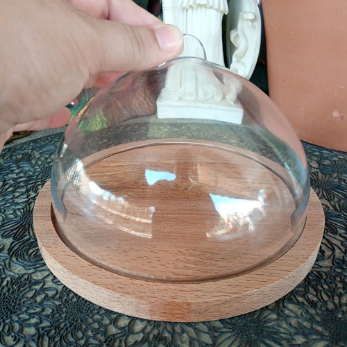 Wooden cheese base or craft stand with transparent dome lid used