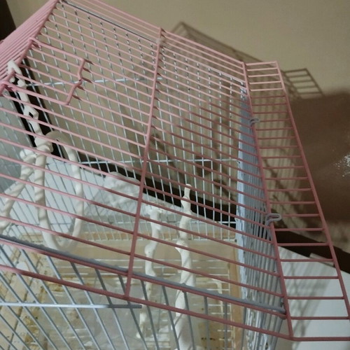 Large birdcage like new with accessories and sand