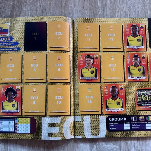 Panini Qatar 2022 sticker album used, incomplete