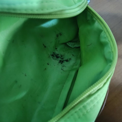 Oriflame toiletry bag used, green