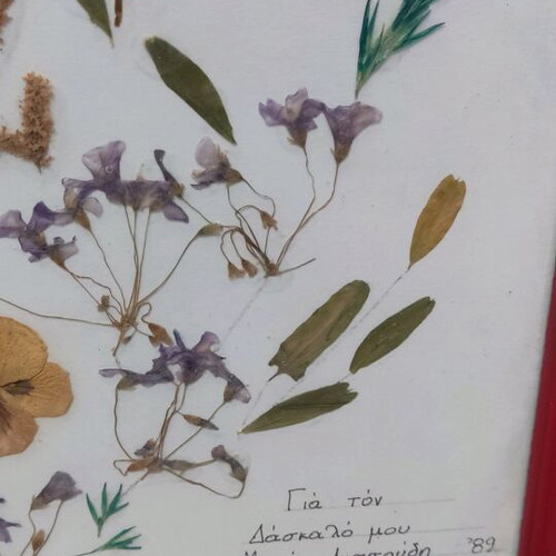Vintage framed dried flowers 1989 used