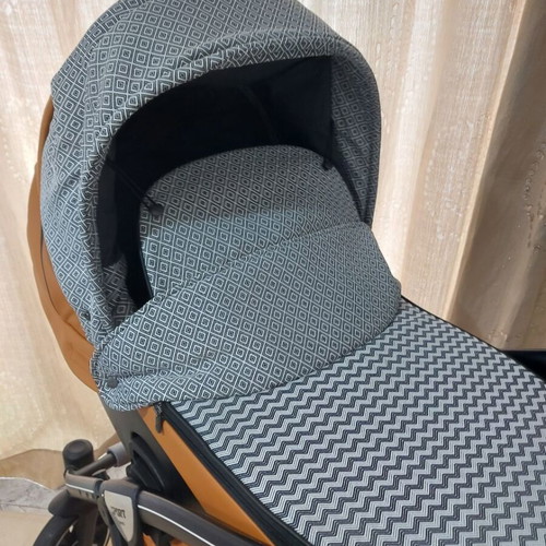 Anex Sport Deluxe Foxy stroller with car seat used
