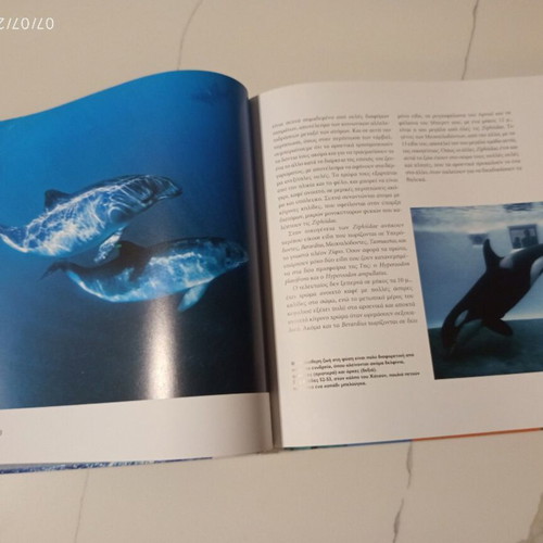 The Encyclopedia of Animals Volume 6 used, whales dolphins and sea mammals