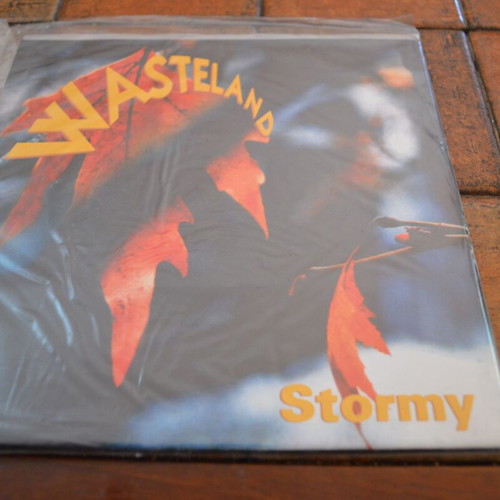 Wasteland Move/Stormy 7'' Single 45 RPM new, Rock