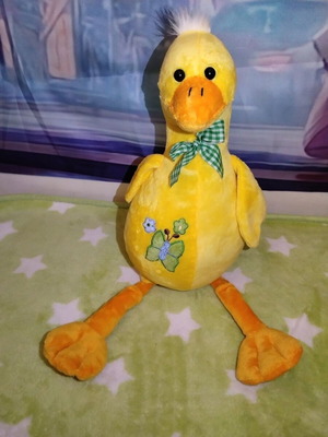 Plush duck used, 53 cm
