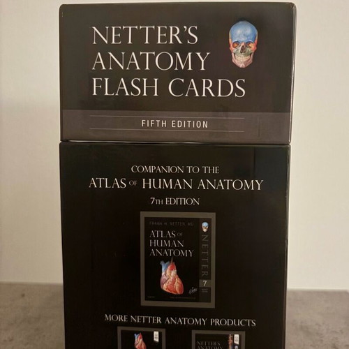 Netter's Anatomy Flash Cards 5th Edition like new