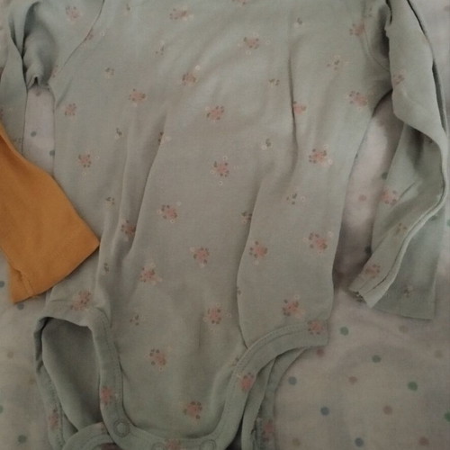 H&M set of 2 long-sleeve baby bodysuits