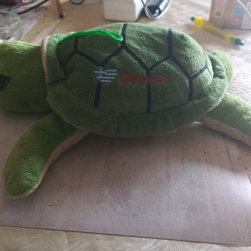 Plush turtle like new