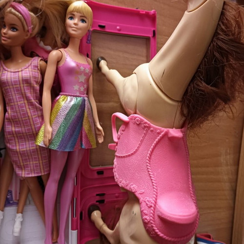 Barbie doll set with horse, wardrobe and carriage