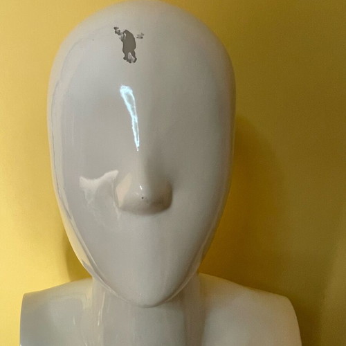Mannequin torso used