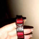 Small dog collar new, red