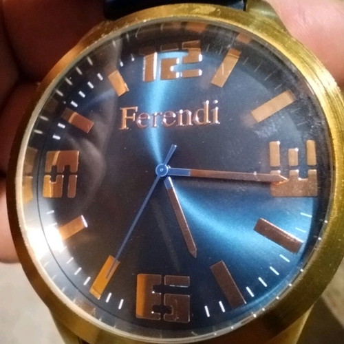 Women's Watch Ferendi F1020