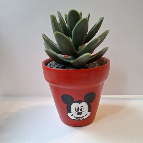 Hand-painted terracotta flowerpot with glossy finish