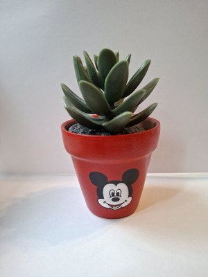 Hand-painted terracotta flowerpot with glossy finish
