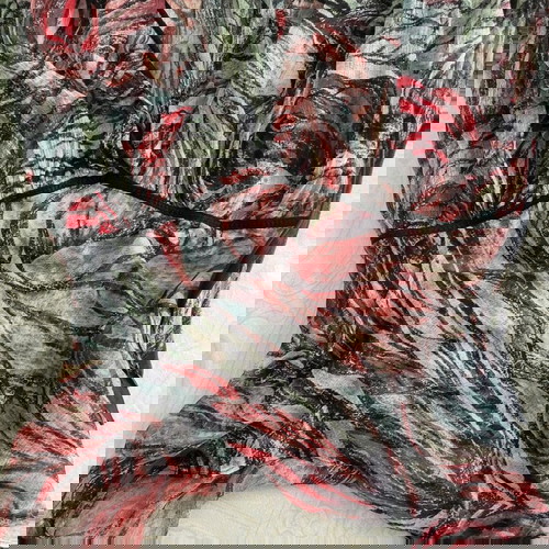 Top multicolor διαφανές μέγεθος Μ σαν καινούργιο