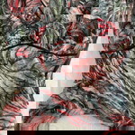  Top multicolor διαφανές μέγεθος Μ