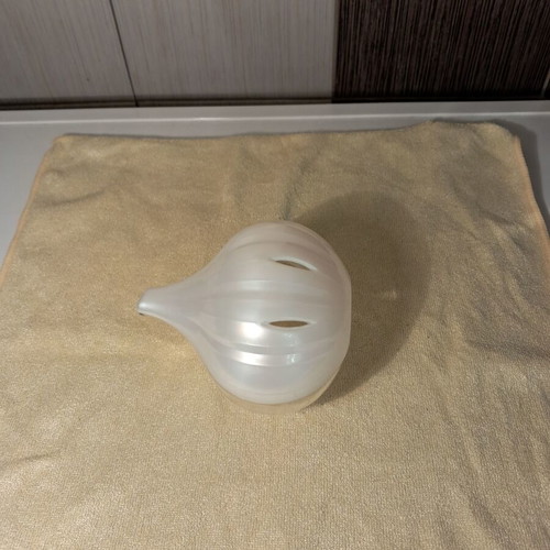 Plastic garlic saver keeper new, ventilated design