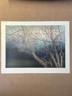 Authentic silk screen printing Magda Siamkouri like new