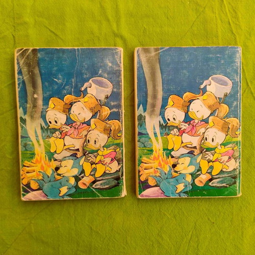 The Book of Little Explorers Volumes G' + D' used, set of two books