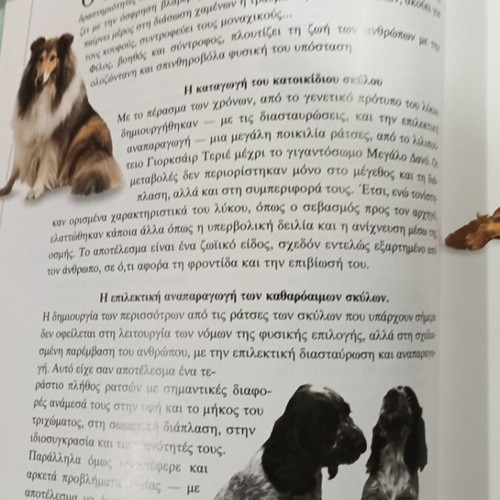 The Care of Your Dog by Dr. Bruce Fogle like new, hobby book