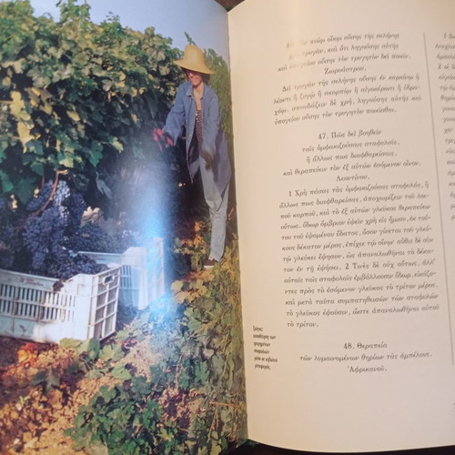Ampelourgein book used, Ktima Chatzimichali