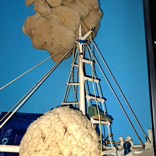 Decorative sponges new