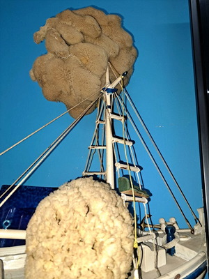 Decorative sponges new