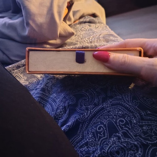 Louis Vuitton storage box new