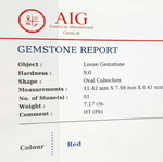 Ruby Cabochon 7.17cts natural, new with AIG certificate