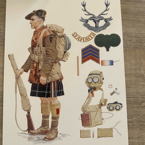 Osprey card postal set of 40 like new
