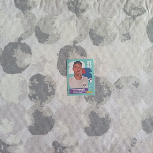 FIFA World Cup 2026 Panini sticker