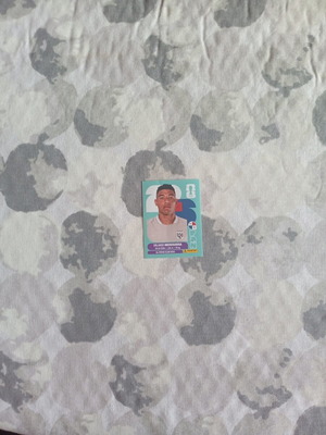 FIFA World Cup 2026 Panini sticker