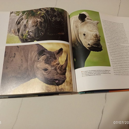 The Encyclopedia of Animals Volume 9 used, Elephants and Giants of the Animal Kingdom