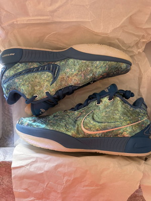 LeBron James Nike basketball shoes new, multicolor, size 44.5