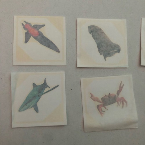 Temporary tattoos with sea animals, like new, set of 9