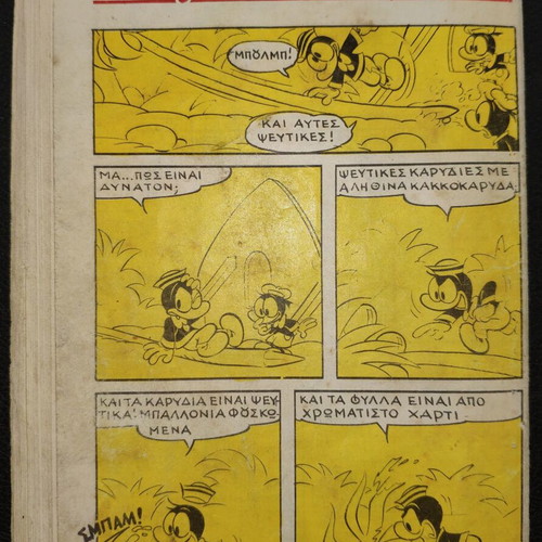 Amazonios T14 comic book used