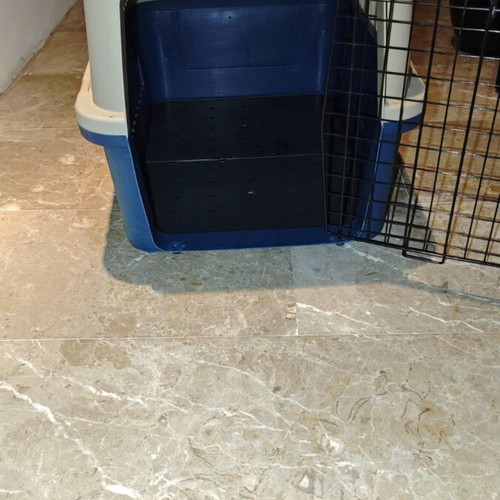 Dog Carrier box new, dimensions 41x66x47 cm