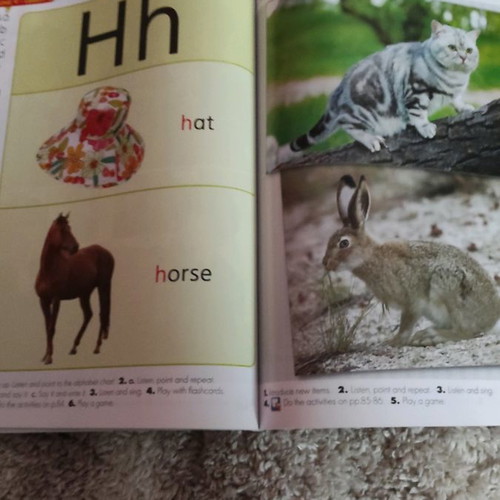 Junior English books new, pack of 3 for children