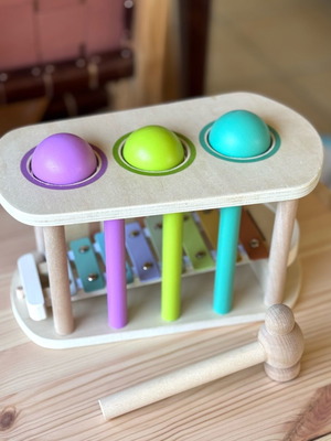 Montessori 2-in-1 Wooden Educational Toy like new