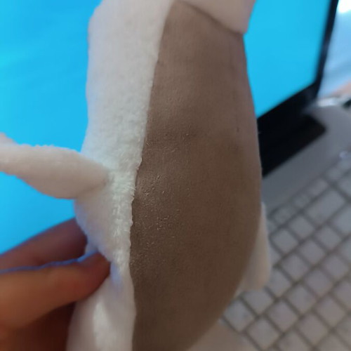 Plush seal screen cleaner used