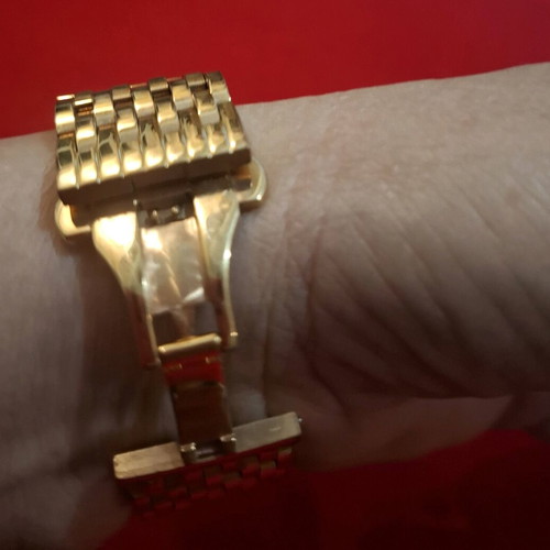 Ecan Quartz Iced Out Women's Watch Gold New
