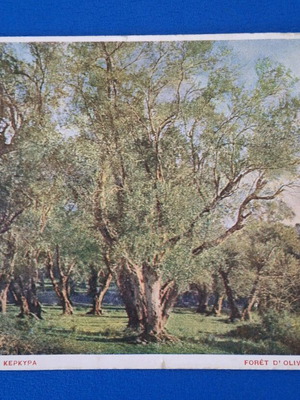 Corfu Elaionas 1917 postcard used, Aspioti Brothers edition