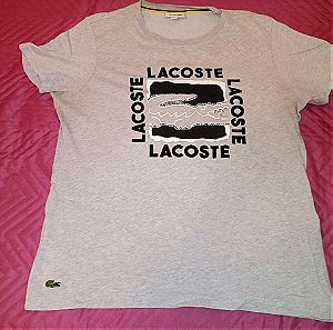 T-shirt LACOSTE large size