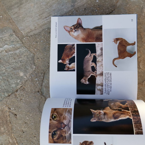 Book 1001 Cats without damage